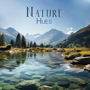 Nature Hues: Soundscapes from Zen Garden, Forest, Ocean, Rain Weather for Meditation - Close to Nature Music Ensemble