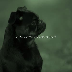 パピー・パワー・ジャズ・ファンク - Dinner Table Jazz Dream