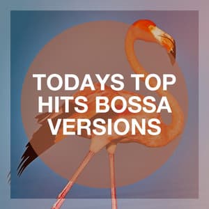 Todays Top Hits Bossa Versions - Bosanova Brasilero