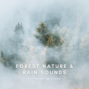Forest Nature & Rain Sounds - Natural Sounds Selections