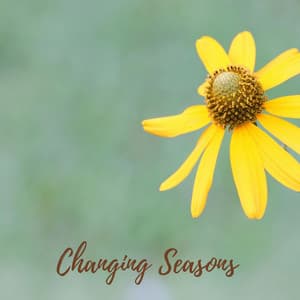 Changing Seasons - Gentle Rain Makers