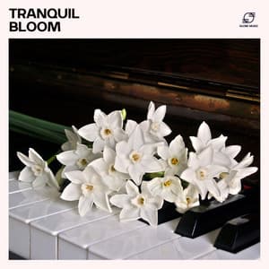 Tranquil Bloom: Piano Reading Music - Piano Symphonies
