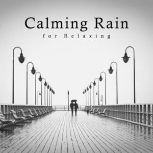 Calming Rain for Relaxing - Background Noise From TraxLab