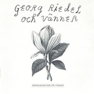 Hemligheter på vägen - Georg Riedel