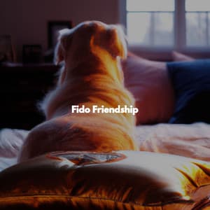 Fido Friendship - Música para Oficinas Musica De Fondo