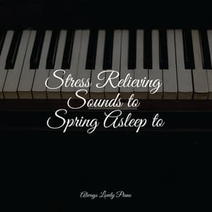 50 Calming Piano Tracks to Melt Your Stress Away - Piano Bar Music Specialists
