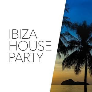Ibiza House Party - Techno House