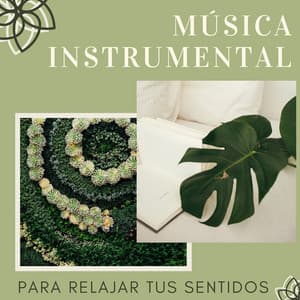 Música Instrumental para Relajar tus Sentidos - Ana Consejos