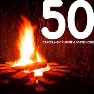 50 Crackling Campfire & White Noise, Loopable - Fireplace Studio