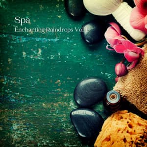 Spa: Enchanting Raindrops Vol. 1 - Amazing Spa Music