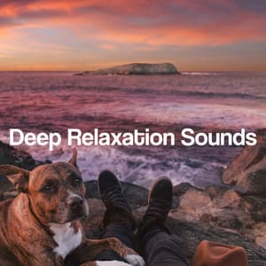 Deep Relaxation Sounds - Relaxing Music Oasis