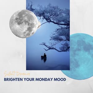Brighten Your Monday Mood - Silent Dreamer