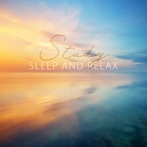 Study, Sleep and Relax: Peaceful Relaxing Music with Pad Tones, Inner Silence Meditation, Concentrate on Breathing, Have a Rest - Total Relax Music Ambient