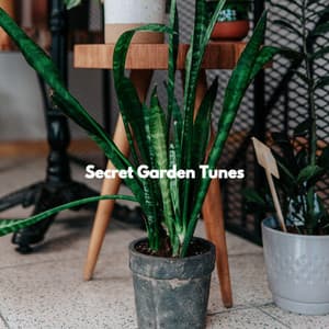 Secret Garden Tunes - Coffee Shop Jazz Piano Chilling