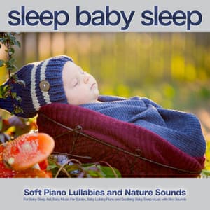 Sleep Baby Sleep: Soft Piano Lullabies and Nature Sounds For Baby Sleep Aid, Baby Music For Babies, Baby Lullaby Piano and Soothing Baby Sleep Music with Bird Sounds - Sleep Baby Sleep