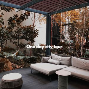 One day city tour - Dîner Jazz