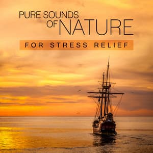 Pure Sounds of Nature for Stress Relief: Relaxing Tracks for Zen, Clear Mind, Meditation Music - Natural Sounds Music Academy