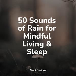 50 Sounds of Rain for Mindful Living & Sleep - Deep Sleep Music Academy