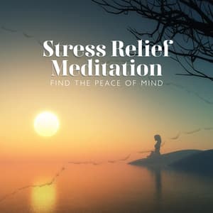 Stress Relief Meditation: Find the Peace of Mind - Spiritual Music Collection