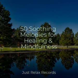 50 Soothing Melodies for Healing & Mindfulness - Yoga Sounds