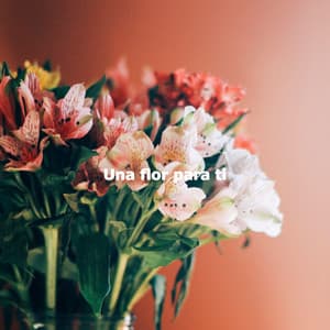 Una flor para ti - Jazz Brasiliano Musica Di Sottofondo