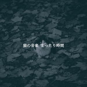 猫の音楽 まったり時間 - Romantic Jazz Music Lovers Club