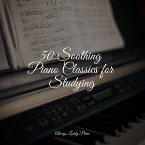 Calming Piano Hits to Bring You Divine Relaxation - Piano Music for Work