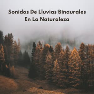 Sonidos De Lluvias Binaurales En La Naturaleza - Frecuencias de tierra y frecuencias de 432 Hz