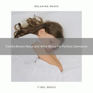 Careful Brown Noise and Wind Blows For Perfect Clamdown - Dreamy White Noise