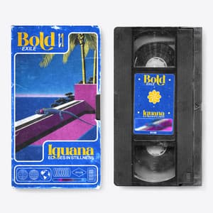 Bold Exile: Iguana Echoes in Stillness - Relaxing Pet Music