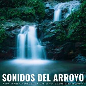 Sonidos Del Arroyo: Agua Transparente Que Fluye Cerca De Los Campos Vol. 1 - Arroyos Ventosos