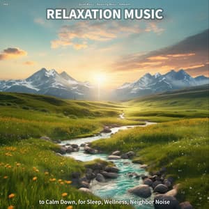 #01 Relaxation Music to Calm Down, for Sleep, Wellness, Neighbor Noise - Quiet Music