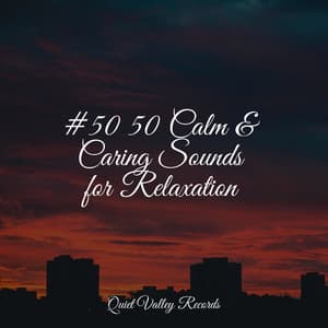 #50 50 Calm & Caring Sounds for Relaxation - Kings of Nature