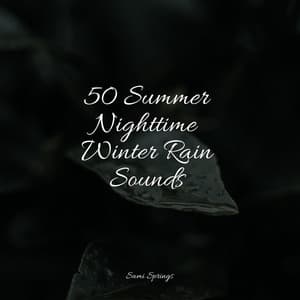 50 Summer Nighttime Winter Rain Sounds - Kinderlieder Megastars