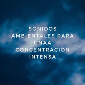 Enfoque Metálico Lluvioso: Sonidos Ambientales Para Una Concentración Intensa - Siente El Clima