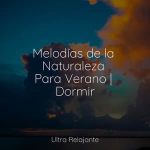 Melodías de la Naturaleza Para Verano | Dormir - Escola de Meditação
