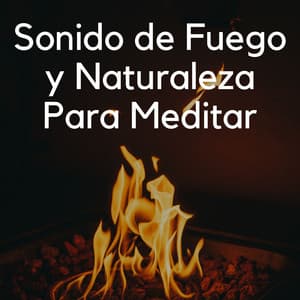 Sonido De Fuego Y Naturaleza Para Meditar - Estudio de efectos de chimenea