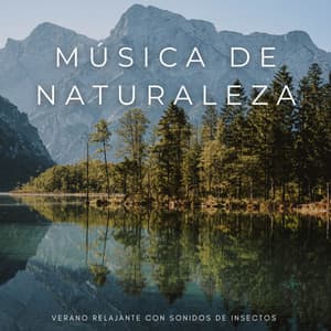 Música De Naturaleza: Verano Relajante Con Sonidos De Insectos - Pájaros y Pajaritos