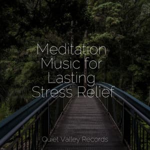 Meditation Music for Lasting Stress Relief - Natural Samples