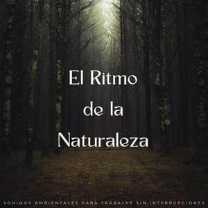 El Ritmo De La Naturaleza: Sonidos Ambientales Para Trabajar Sin Interrupciones - Música de Trabajo Clasico