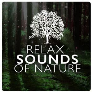 Relax: Sounds of Nature - Relaxing Sounds Of Nature