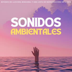 Sonidos Ambientales: Estudio De Llovizna Binaural Y Una Lista De Reproducción De Lluvia - Sonidos de Lluvia 24H