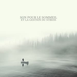 Son pour le sommeil et la gestion du stress: Musique New Age pour un sommeil profond - Ensemble de Musique Zen Relaxante