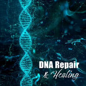 DNA Repair & Healing: Nerve And Cell Regeneration, Stress Reduction, Anxiety, Depression, Migraine - Brayan Brain Waves