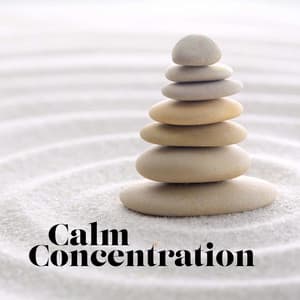 Calm Concentration - Peaceful Ambient