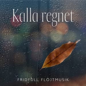 Kalla regnet: Fridfull flöjtmusik med ljudet av helande regn för avkoppling och meditation, Balanserar minne, kropp och själ - Lugn Musik Atmosfär