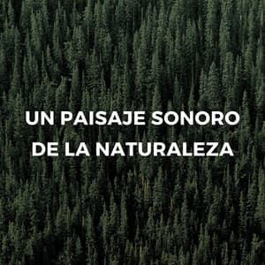 Un Paisaje Sonoro De La Naturaleza - Naturaleza Ruido