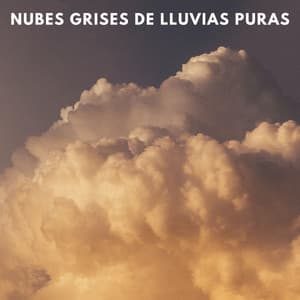 Nubes Grises De Lluvias Puras - Banco de sonidos de agua