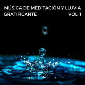 Música De Meditación Y Lluvia Gratificante Vol. 1 - Meditación Lluvia Sonidos