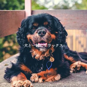 犬と一緒にリラックス - Musique pour Travailler Playlist